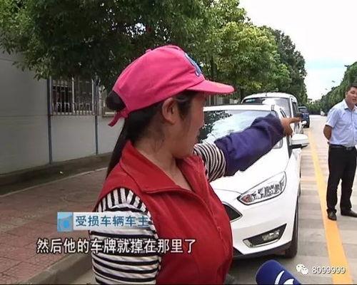 无遮挡成人开车视频,揭秘真实行车场景