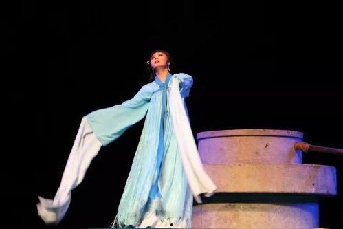 成人怎么学昆曲视频教学,成人昆曲学习视频教程概述