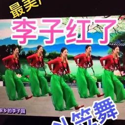 广场舞成人斗笠道具视频,成人舞者演绎别样风情