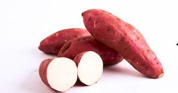 把红薯说成人参的视频,一场视觉与味觉的奇幻之旅