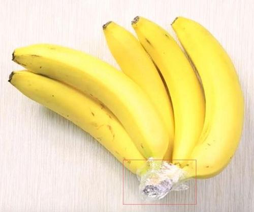 香蕉成人祝视频,趣味视频中的温馨祝福