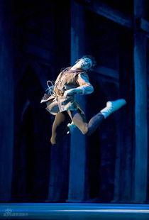 成人舞蹈小丑图片视频欣赏,成人舞蹈艺术赏析