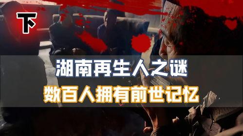 猪转世成人的视频,神秘奇遇背后的科学探索