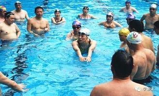 成人游泳班教练教学视频,成人游泳班教练带你轻松入门