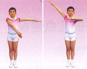 肩胫体操视频成人