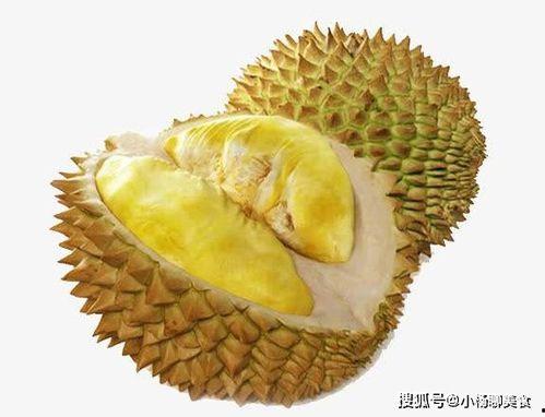 榴莲视频成人软件苹果版